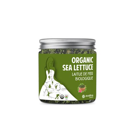 Organic Sea Lettuce Pet 1 Jar