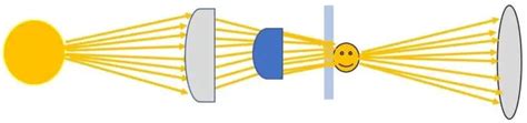 Condenser of a Microscope: What’s the Function and Why Should I Care ...