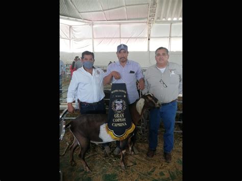 Facultad De Agronom A Y Veterinaria Recibi Siete Galardones En La