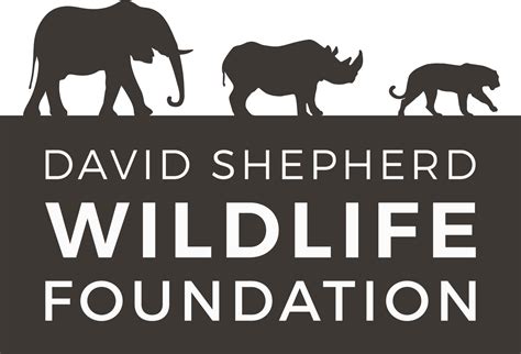 Sue Stolberger Artwork David Shepherd Wildlife Foundation