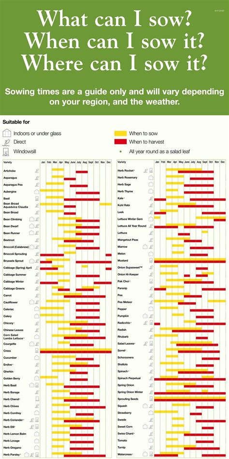 Vegetable Planting Guide South Australia Yoiki Guide