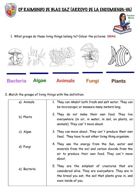 Animal Classification Worksheet Activity Taxonomic Rank Worksheets