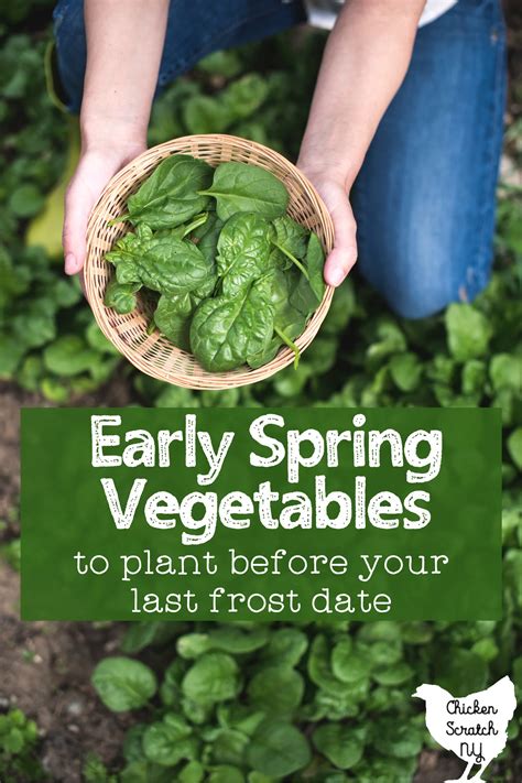 seeds to plant early spring