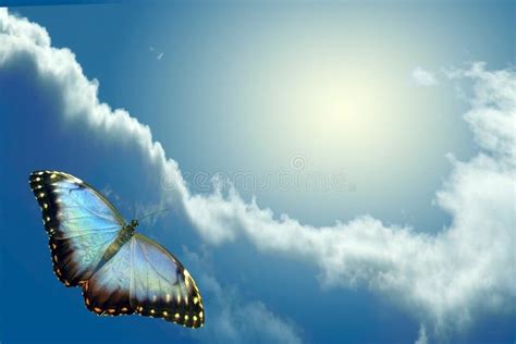 Butterfly Flying To Sky Stock Image Image Of Flight