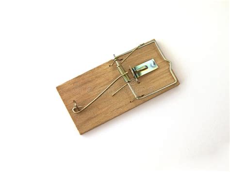 Mouse Trap stock image. Image of annihilate, catch, device - 14145013
