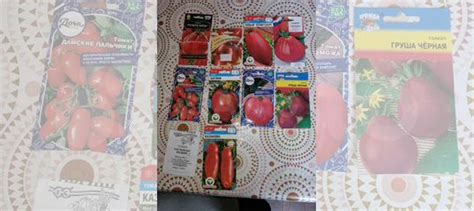 Рассада помидор купить в Брянске | Товары для дома и дачи | Авито