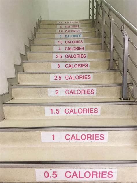 Stair Climber Workout Calories Burned Eoua Blog