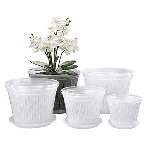 Finding The Perfect Orchid Pot: What To Look For In A Container With ...