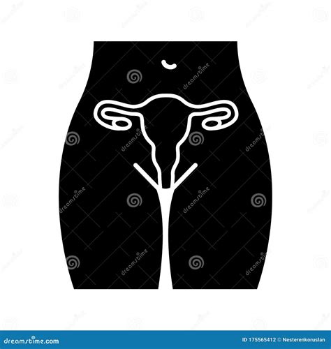 Female Reproductive System Glyph Icon Stock Vector Illustration Of