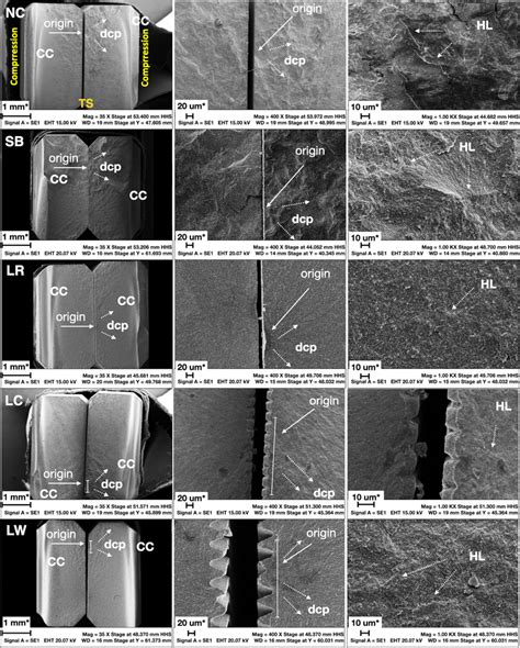 Representative Sem Images Of Fractured Y Tzp Bend Bars Left Column