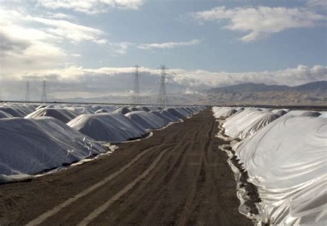 More About The Stockpiling Process By Superior Almond Hulling In Cali