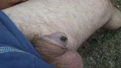 Penis Torture Extreme Part 3 Release After 30 Minutes Gay Fetish Fetish Porn XHamster