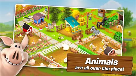 Hay Day Design Star