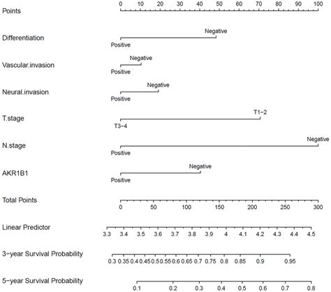 Aberrant Expression Of Akr B Indicates Poor Prognosis And Promotes