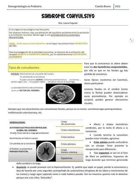 SÍNDROME CONVULSIVO EN PEDIATRIA UNER Medicina uDocz