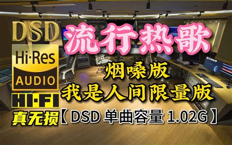 流行热歌，烟嗓版《我是人间限量版》dsd完整版，单曲容量102g【真正dsd无损hifi音乐，百万调音师独家制作】 车音乐百万调音师 车