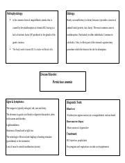 Pernicious Anemia Docx Pathophysiology Etiology Is The Common Form