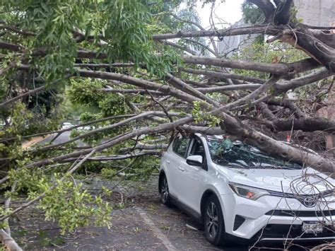 Sorprende Lluvia Y Fuertes Vientos A Jaliscienses