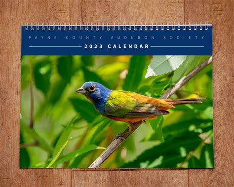 Illinois Birding Calendar Codee Barbaraanne