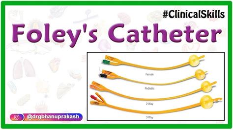 Catheters 101 The Basics Of Urinary Catheter Types 52 Off