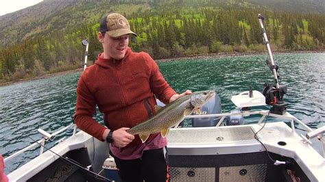 Catch And Cook Yukon Lake Trout Youtube