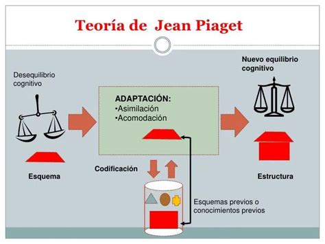 Desarrollo Cognitivo Acomodaci N Y Asimilaci N Iccsi