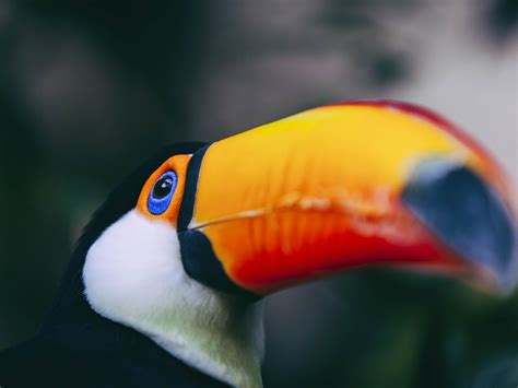 South America travel destinations - Lonely Planet