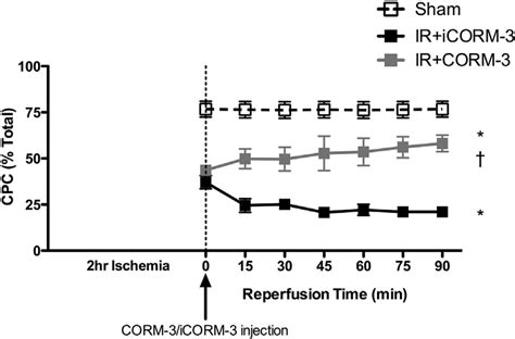 The Effect Of Carbon Monoxide CO Releasing Molecule 3 CORM 3 On