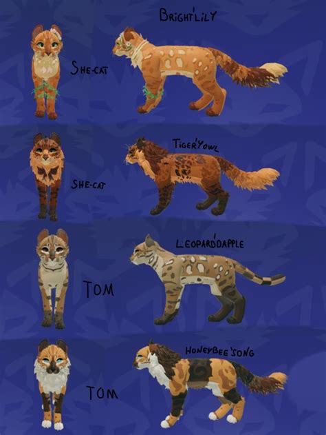 Orange Blackish Cats Inspo Wcue Blue S Warrior Cat Drawings