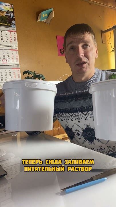 Пересадка томатов - YouTube
