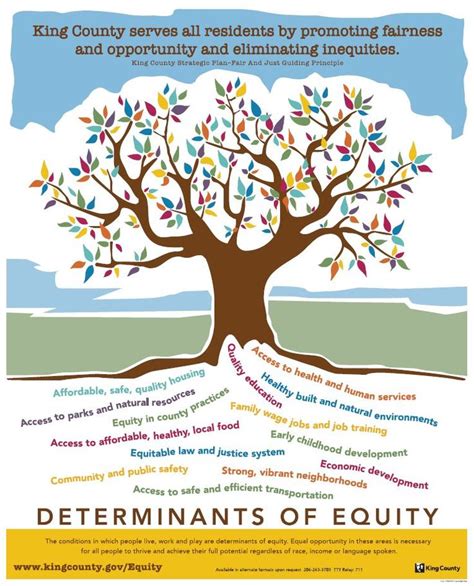 Infographic Equity Social Determinants Of Health