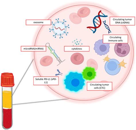 Ijms Free Full Text Liquid Biopsy In Nsclc An Investigation With