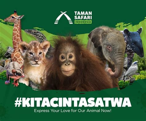 Kitacintasatwa Taman Safari Indonesia Ajak Masyarakat Bantu Satwa Pr