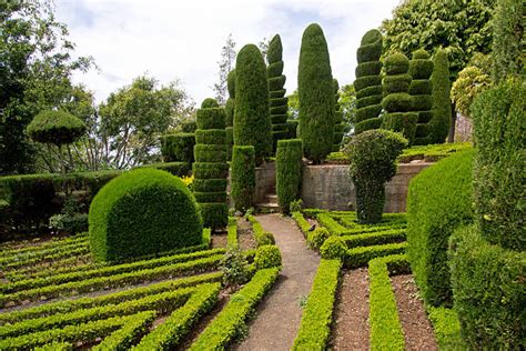 470+ Madeira Botanical Garden Stock Photos, Pictures & Royalty-Free Images - iStock