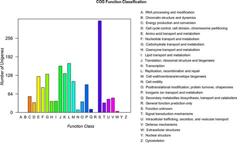 Distribution Of Genes Across COG Functional Categories In The Genome Of