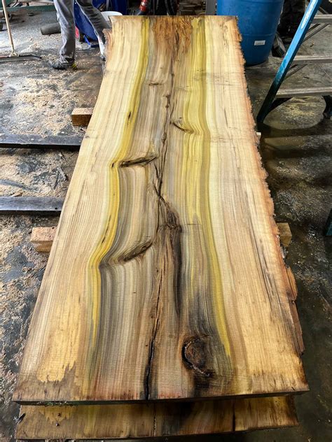 Is Poplar Good For Exterior Use At Ellen Stephens Blog