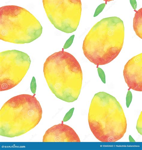 Watercolor Mango Seamless Pattern Stock Vector Image 55602663