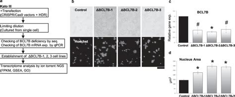 Cas Gene Thermo Fisher Bioz