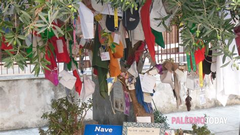 Nasce Il Giardino Della Memoria In Via D Amelio L Ulivo Di Borsellino