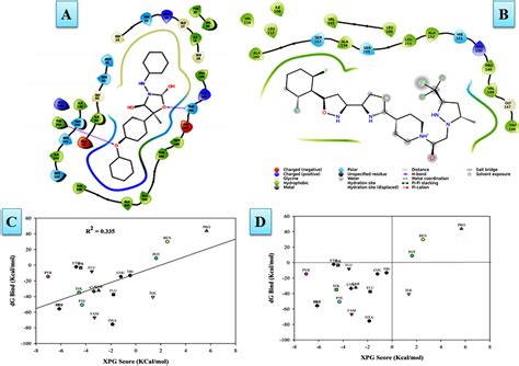 Frontiers In Silico Prediction Characterization Molecular Docking