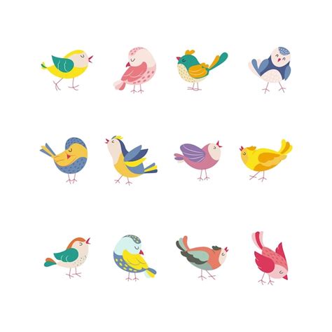 Premium Vector Funny Colored Birds In Different Poses Set Exotic