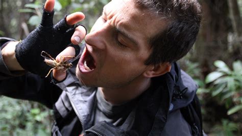 Bear Grylls Est Sem Limites Em Prova De Tudo L Discovery Channel