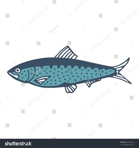 Sardine Fish Vector Illustration Stock Vector Royalty Free 448798678