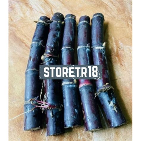 Jual Tebu Hitam Atau Tebu Ireng Isi Batang Shopee Indonesia