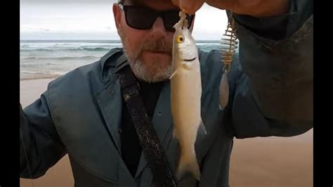 Yellow Eye Mullet Bait Burly Rig Tips Fishing Parsons Beach South