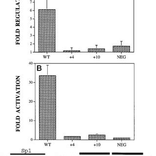 Sterol Regulation And Srebp Activation Of Insertion Mutations Between