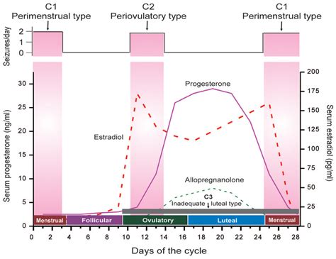 EPILEPSY CATAMENIAL PDF