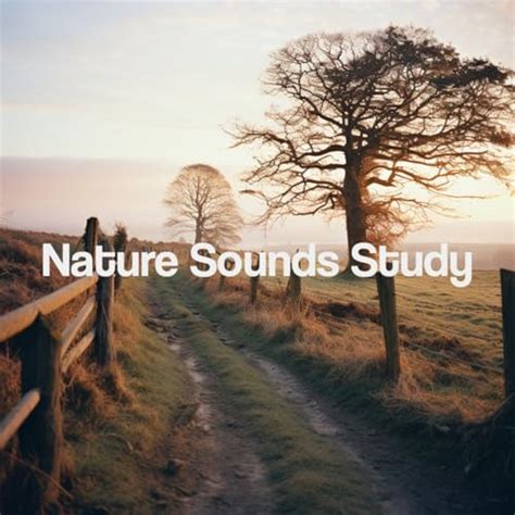 Amazon MusicでSleep Sounds of Nature YOGAのNature Sounds Studyを再生する