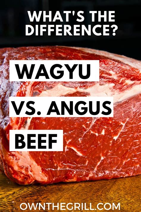 Wagyu vs Angus Beef - What's the Difference? | Own The Grill | Beef, Vegan recipes easy, Angus beef