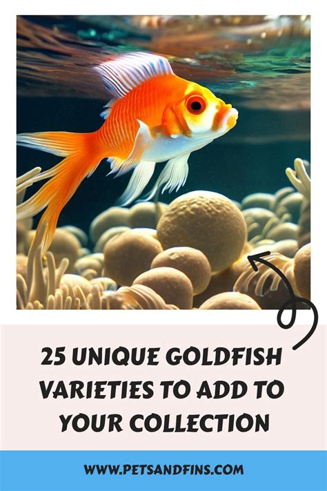 25 Unique Goldfish Varieties to Add to Your Collection in 2023 | Goldfish types, Fish breeding ...